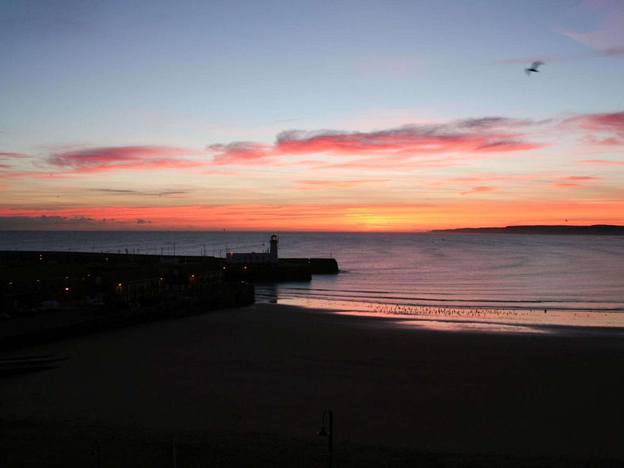 Waimea Apartments - Sea Views South Bay Scarborough Free Parking Esterno foto